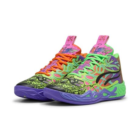 311309-01__imagefront-Basketshop