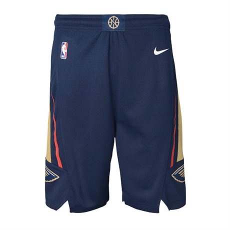 Nike Pelicans Icon Swingman Shorts Jr