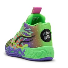 311309-01__backview-Basketshop