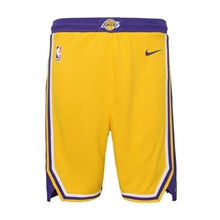 Nike Los Angeles Lakers Icon Swingman Shorts Jr