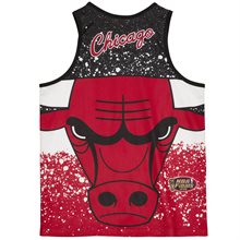 Jumbotron Mesh Tank Chicago Bulls